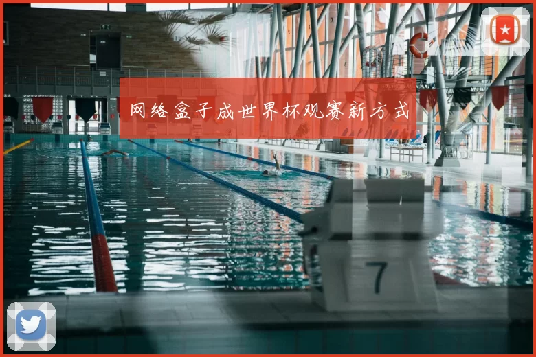 网络盒子成世界杯观赛新方式