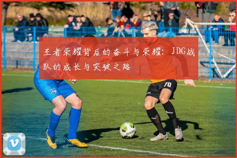 王者荣耀背后的奋斗与荣耀:JDG战队的成长与突破之路