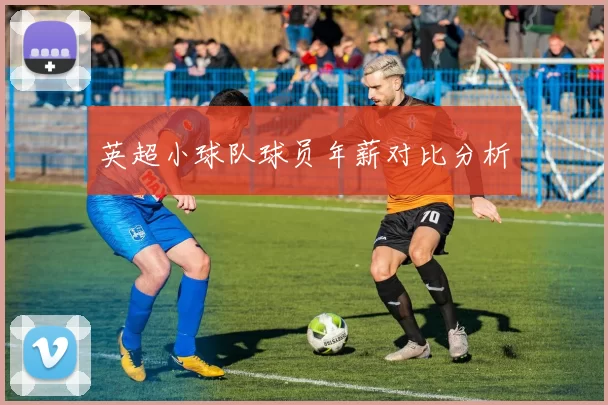 英超小球队球员年薪对比分析
