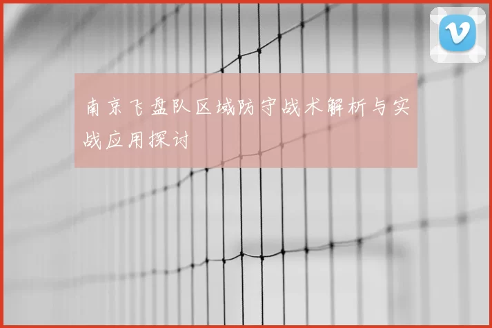 南京飞盘队区域防守战术解析与实战应用探讨