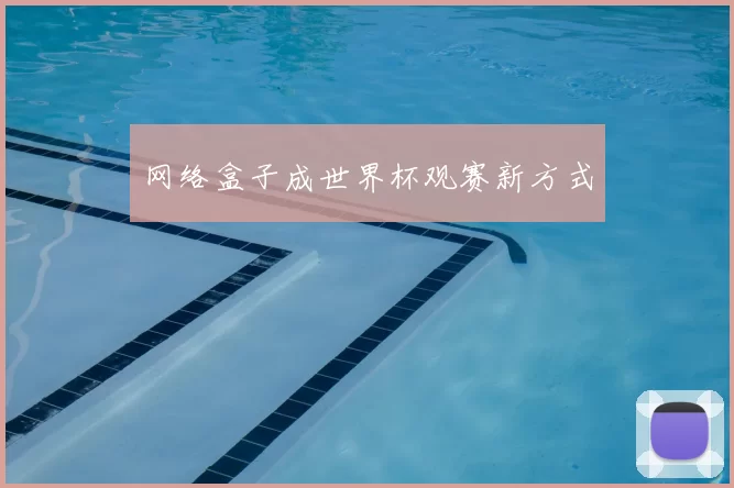 网络盒子成世界杯观赛新方式