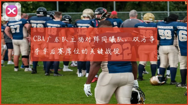 CBA广东队主场对阵同曦队,双方争夺季后赛席位的关键战役