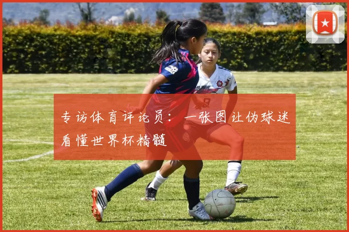专访体育评论员:一张图让伪球迷看懂世界杯精髓