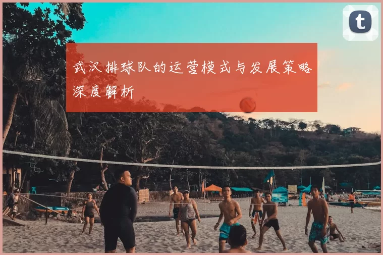 武汉排球队的运营模式与发展策略深度解析