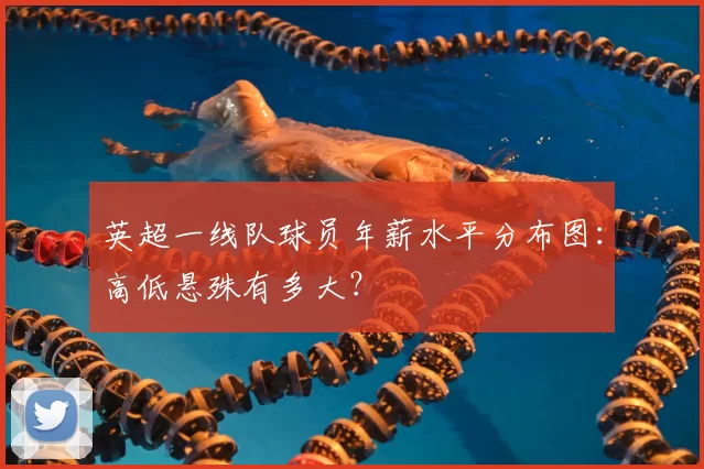 英超一线队球员年薪水平分布图:高低悬殊有多大?