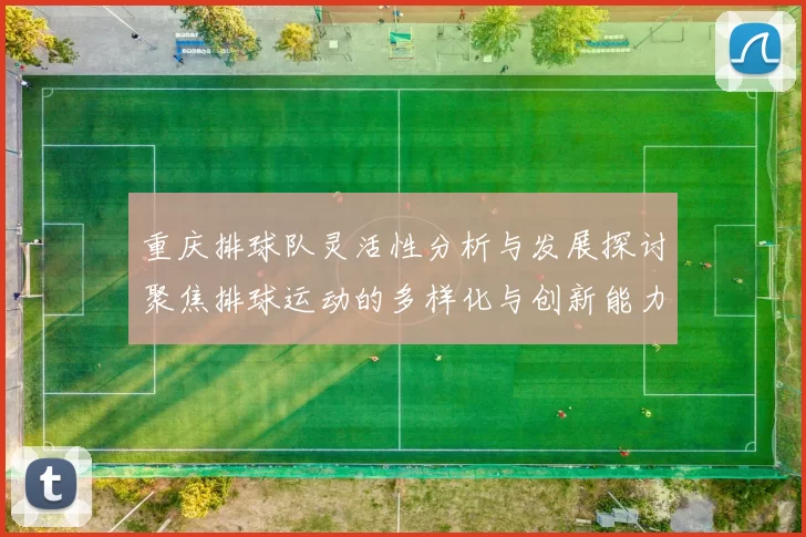 重庆排球队灵活性分析与发展探讨聚焦排球运动的多样化与创新能力