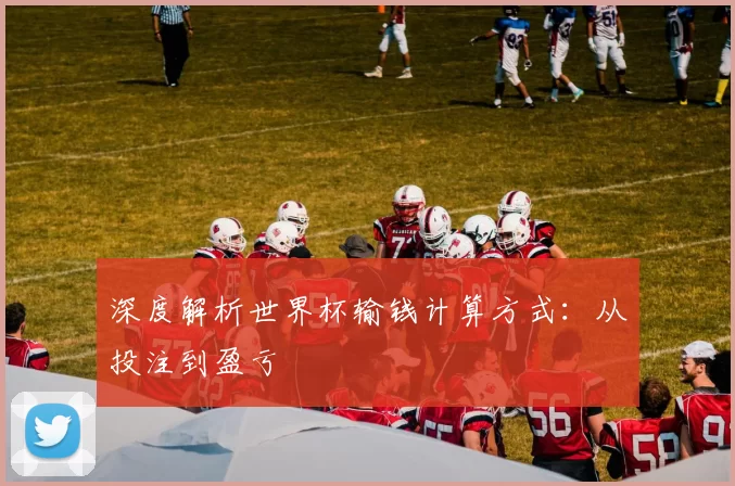 深度解析世界杯输钱计算方式：从投注到盈亏