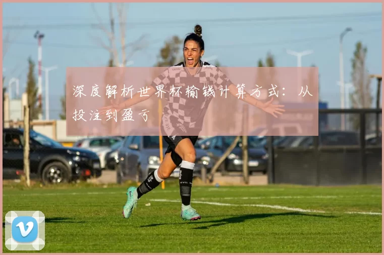 深度解析世界杯输钱计算方式：从投注到盈亏