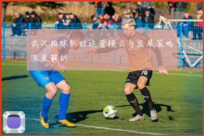 武汉排球队的运营模式与发展策略深度解析
