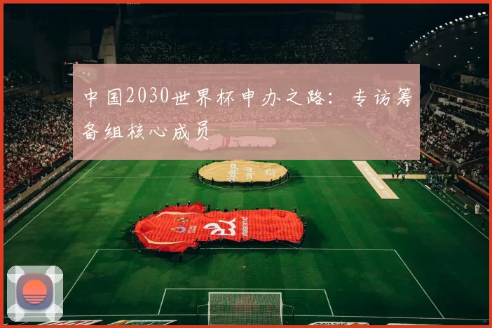 中国2030世界杯申办之路：专访筹备组核心成员