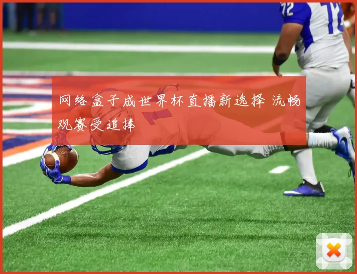 网络盒子成世界杯直播新选择 流畅观赛受追捧