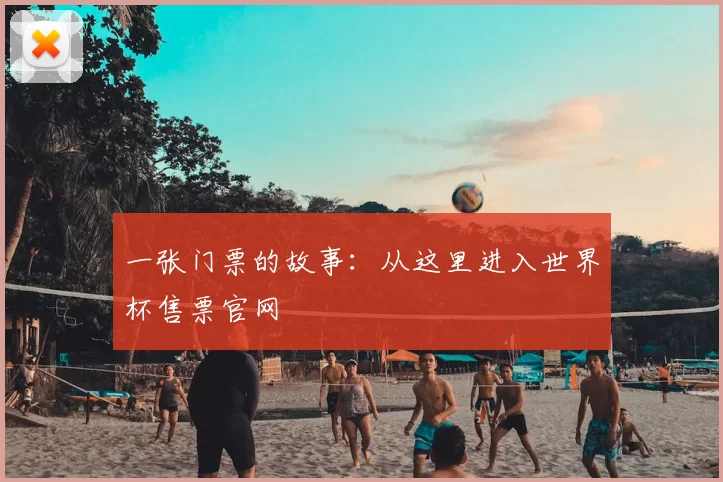 一张门票的故事:从这里进入世界杯售票官网