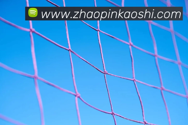 买球官网发展历程