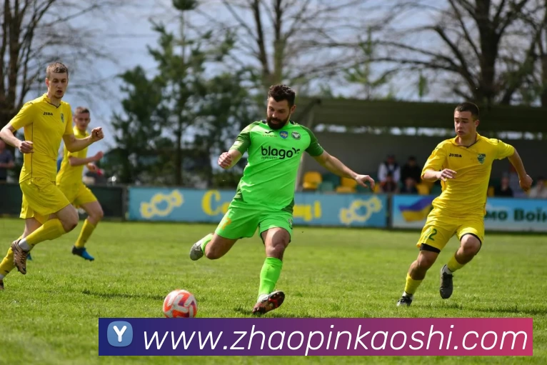 法甲联赛2024-2025赛季最佳进球详细分析与盘点